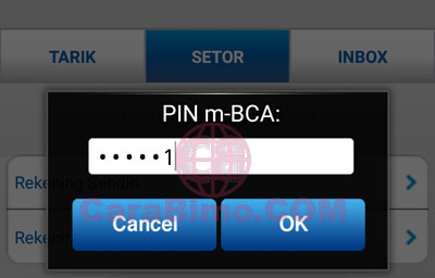 pin m-BCA