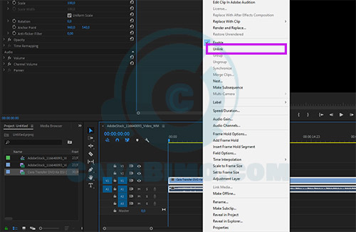 pisahkan audio dan video di Adobe Premier Pro